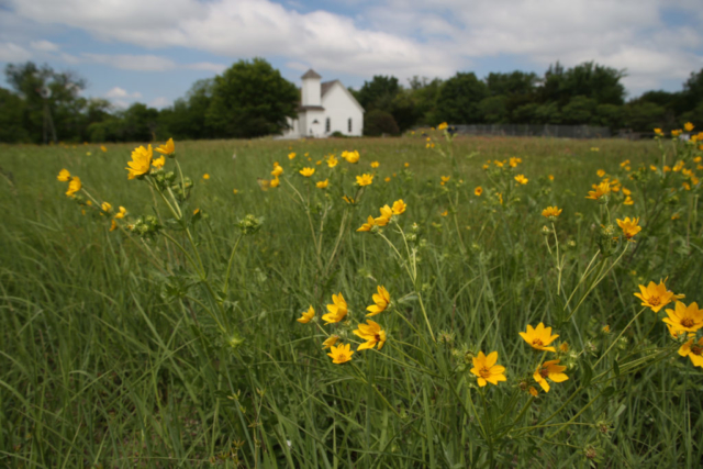 The Old Frankford Church in Blackland Praire