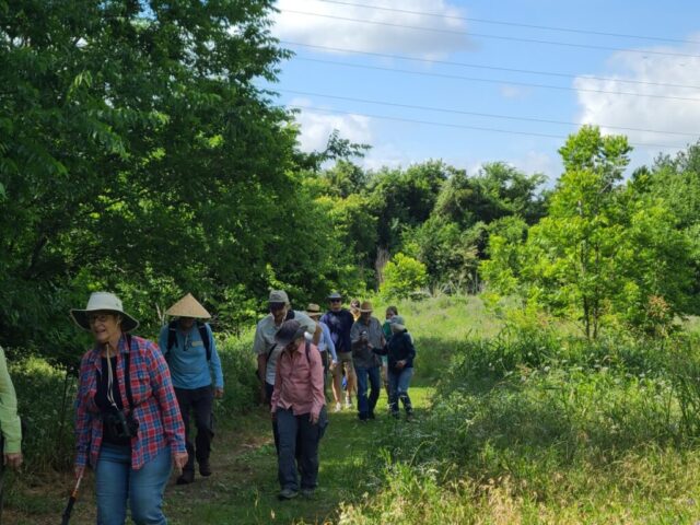 DCPA field trip into the Great Trinity Forest
