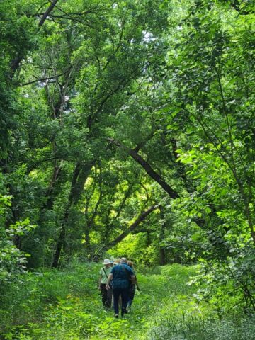 DCPA members hiking into the Great Trinity Forest, Dallas, Texas