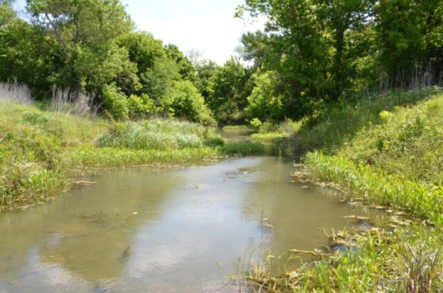 Bryan's Slough in the Great Trinity Forest/Big Sporing, Dallas, Texas (Ridenour)