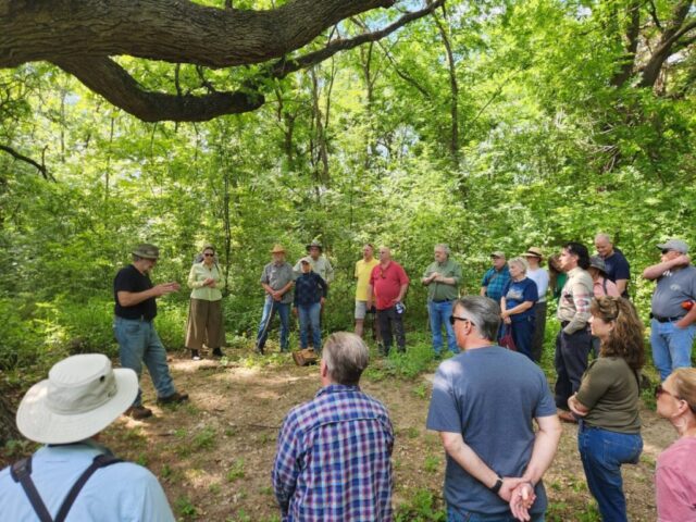 Historian MC Toyer describes Bur Oak at Great Trinity Forest, Dallas Texas