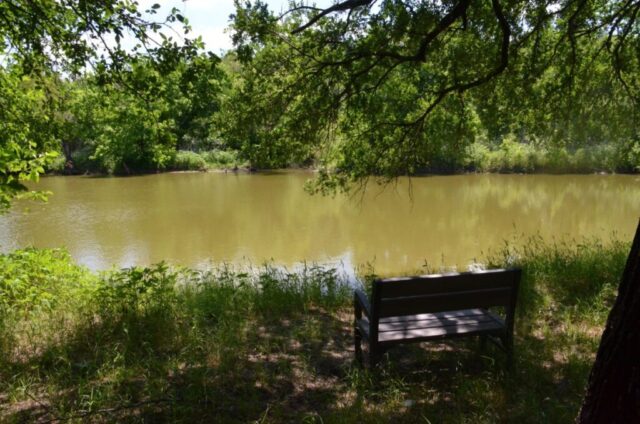 Memorial bench for Daniel Holland at Trinity Forest, Dallas, Texas