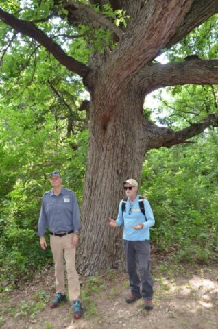 Master Naturalists Ben Sandifer and Richard Grayson at the Great Trinity Forest/Big Spring, Dallas, Texas