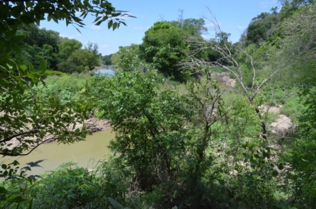 White Rock creek meets the Trinity River at Trinity Forest, Dallas, Texas